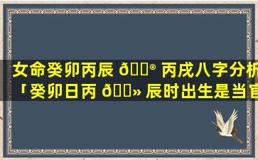 女命癸卯丙辰 💮 丙戌八字分析「癸卯日丙 🌻 辰时出生是当官命」